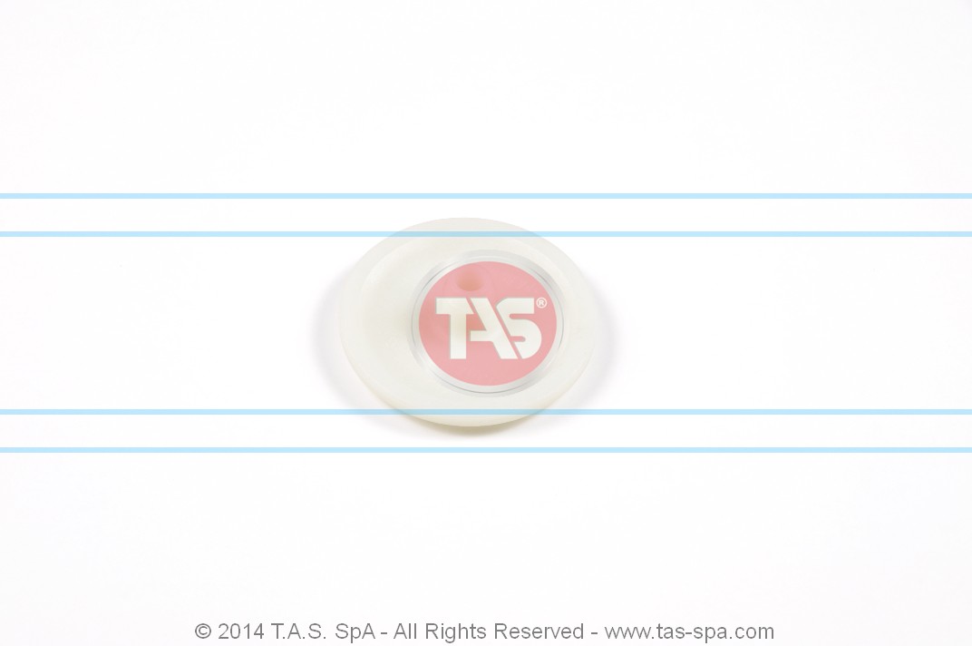 , ZF 1304302440 T20709 Tas spa